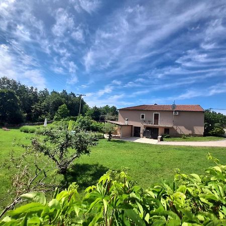 Villa Krizanci Zminj Luaran gambar
