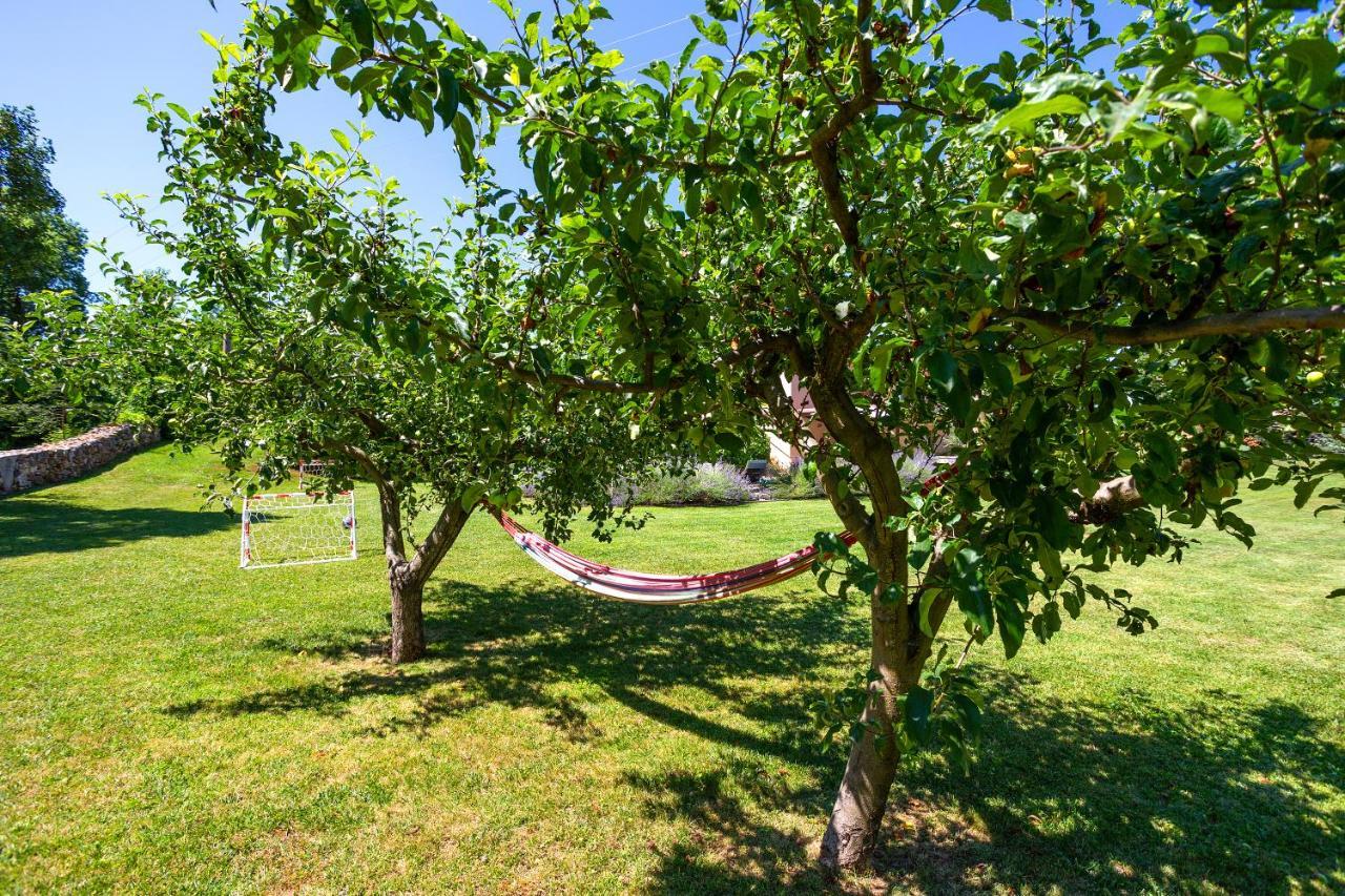 Villa Krizanci Zminj Luaran gambar