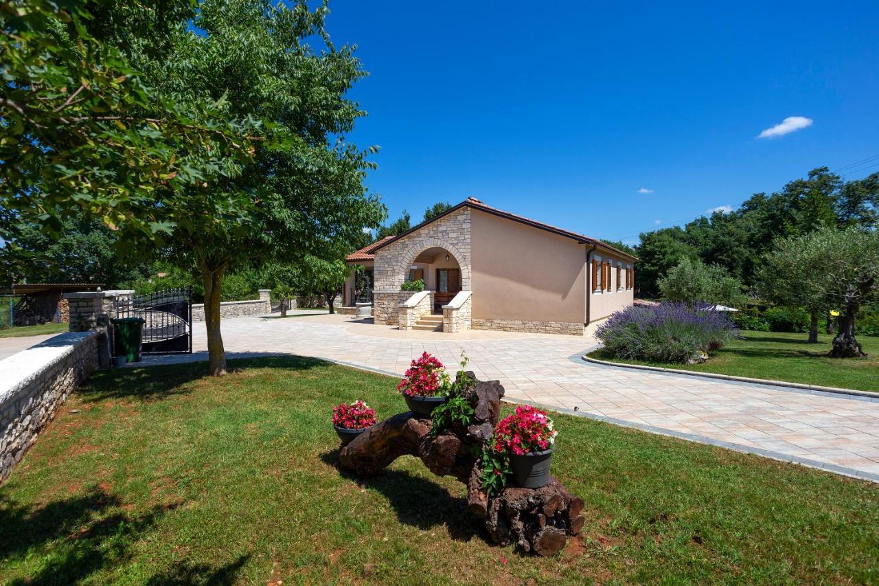 Villa Krizanci Zminj Luaran gambar