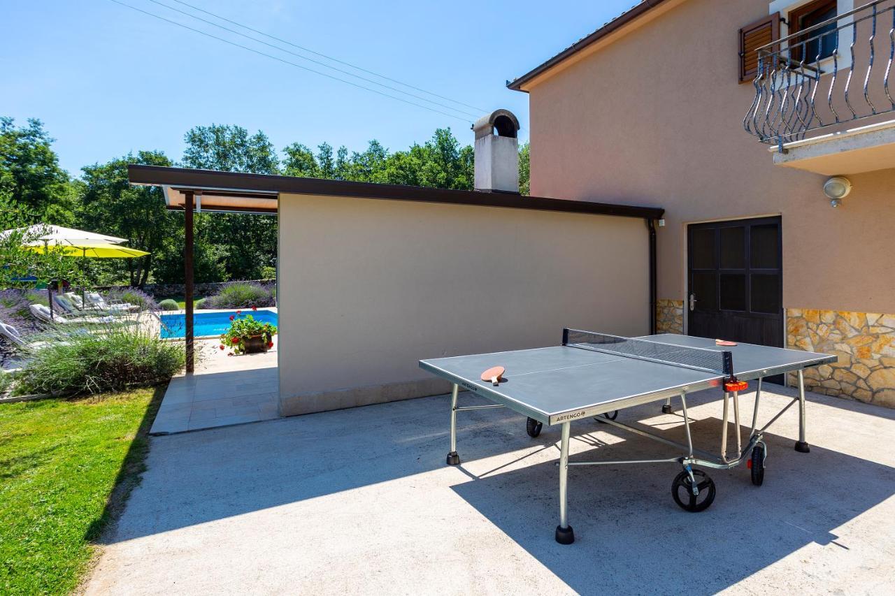 Villa Krizanci Zminj Luaran gambar