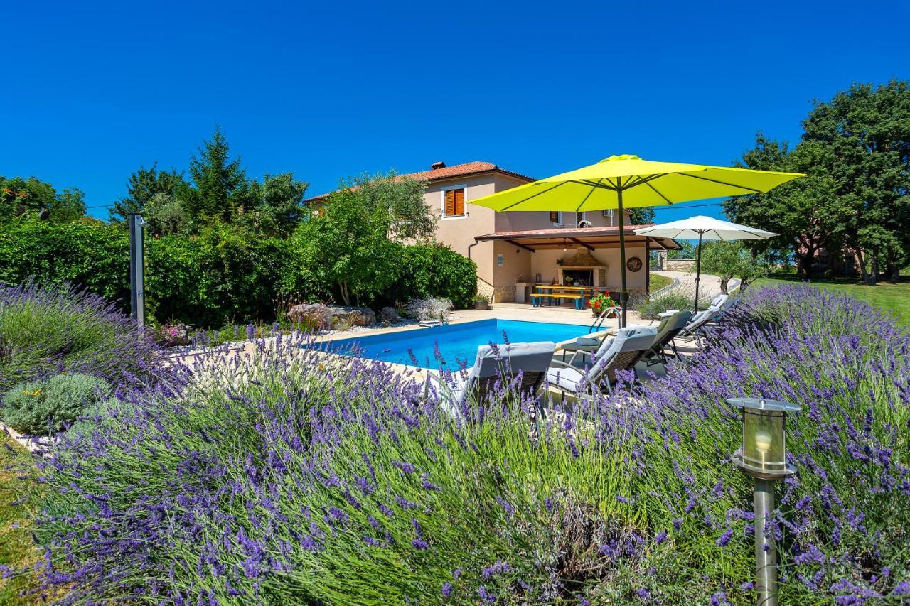 Villa Krizanci Zminj Luaran gambar