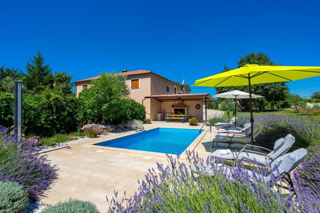 Villa Krizanci Zminj Luaran gambar